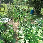 佩蒂特杜布勒伊住宿加早餐旅馆 住宿加早餐酒店