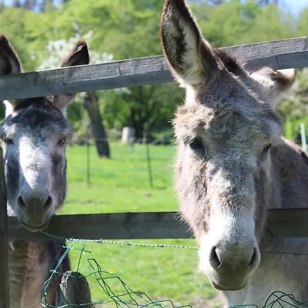 Ferme Du Petit Breuil