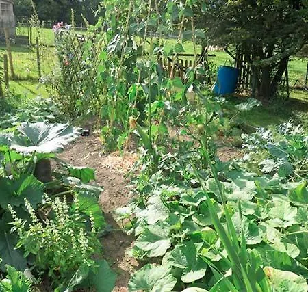 Ferme Du Petit Breuil Nocleg ze śniadaniem