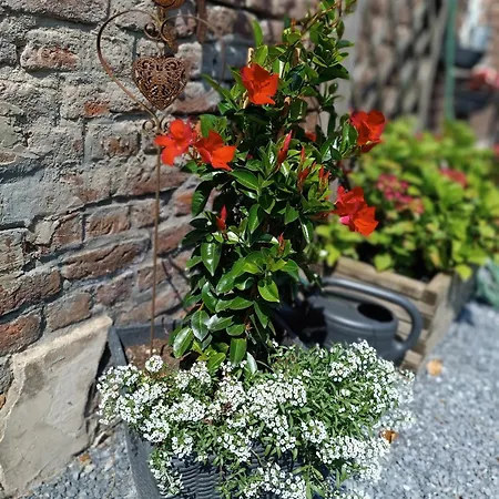 Ferme Du Petit Breuil Nocleg ze śniadaniem