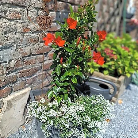 Ferme Du Petit Breuil Bed & Breakfast